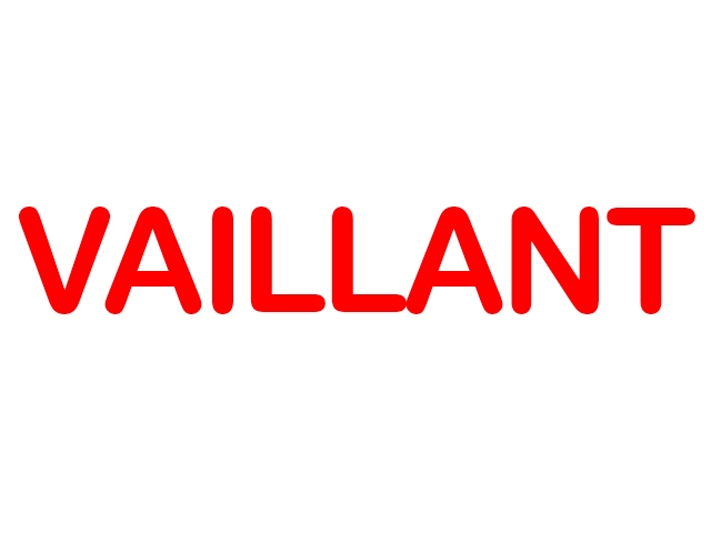 Ankara Vaillant Servisi Ankara Vaillant Servisi